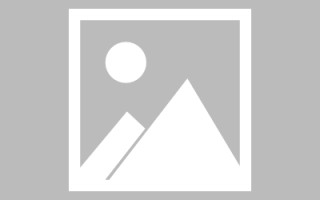 阿拉善盟河池网站建设定制（河池网站建设定制招标公告）